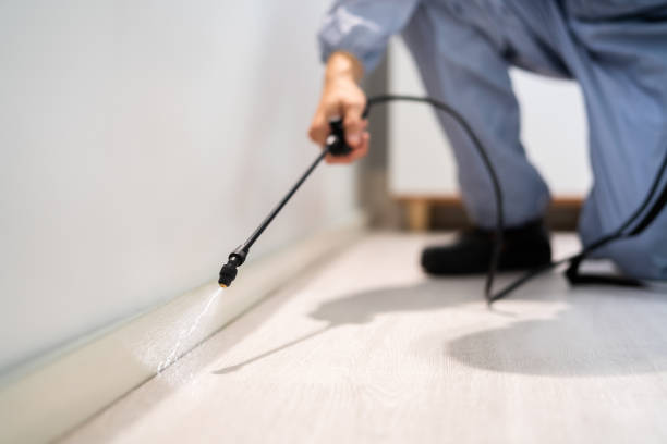 Licensed Ant Control service in Mecklenburg County County, NC - Nex Pest Control